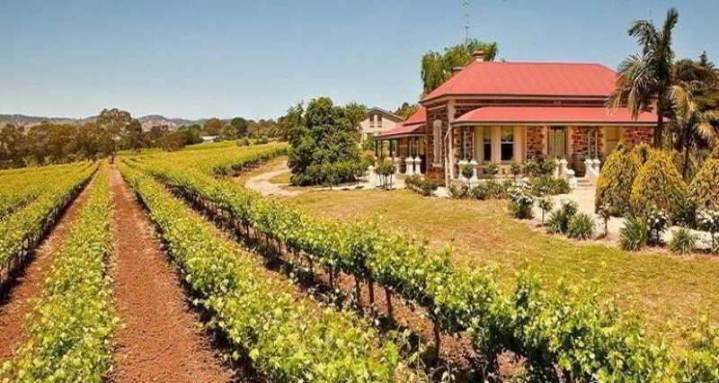 Вілла Barossa Shiraz Estate Lyndoch Екстер'єр фото