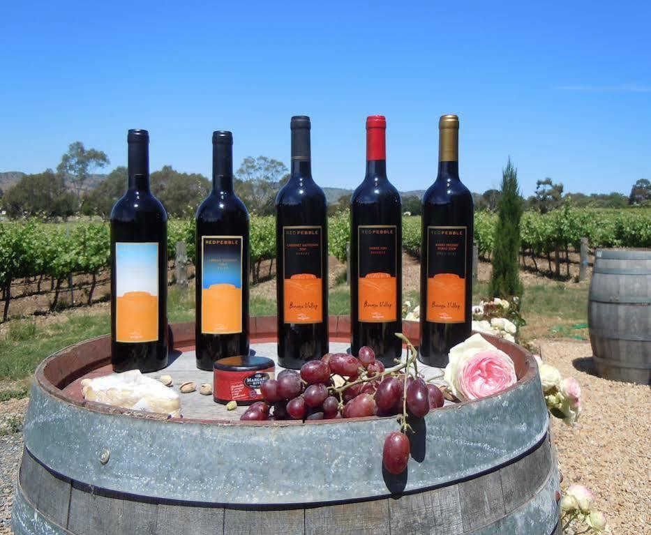 Вілла Barossa Shiraz Estate Lyndoch Екстер'єр фото